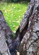 tn_gallery_95458_6773_87738.jpg