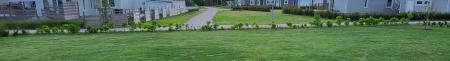 gallery_97193_6839_81399.jpg