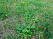 tn_gallery_97022_6833_298824.png