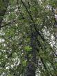 tn_gallery_98096_6873_6133.jpeg