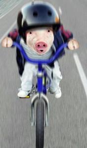Bifogad bild