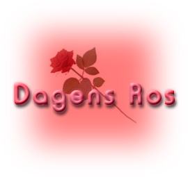 Bifogad bild