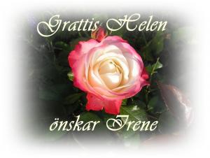 Bifogad bild