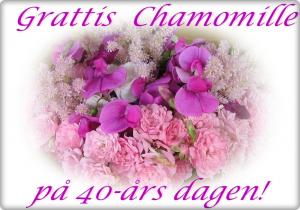 Bifogad bild