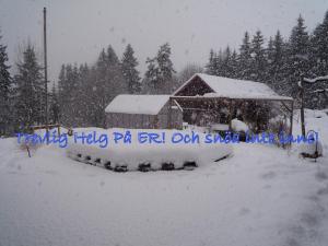 Bifogad bild