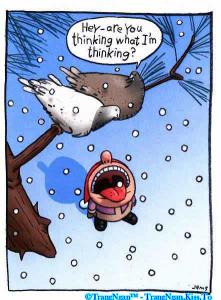 Bifogad bild