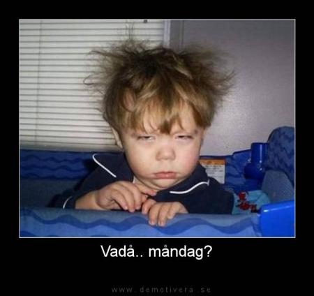 Bifogad bild