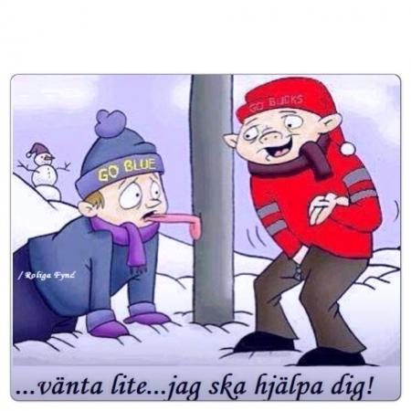 Bifogad bild