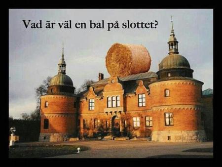 Bifogad bild
