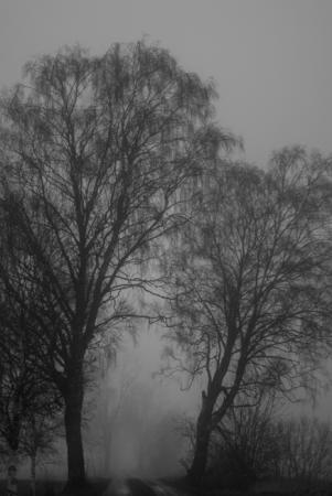 Bifogad bild