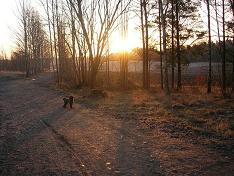 Bifogad bild