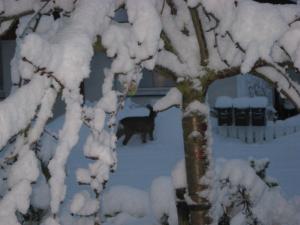 Bifogad bild