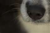 Bifogad bild