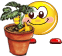 Bifogad bild