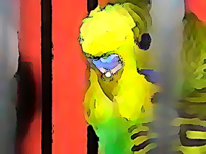 Bifogad bild