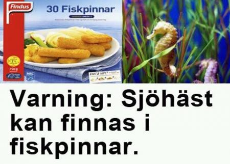 Bifogad bild