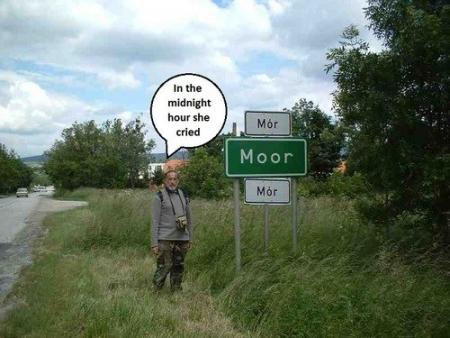 Bifogad bild