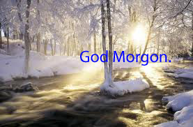 Bifogad bild