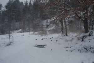 Bifogad bild