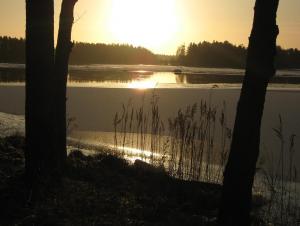 Bifogad bild