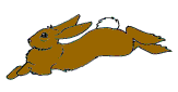 Bifogad bild
