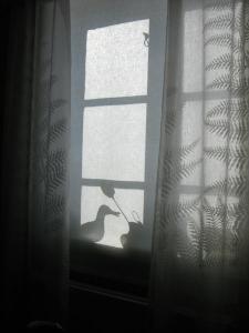 Bifogad bild