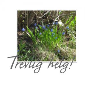 Bifogad bild