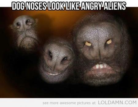 Bifogad bild