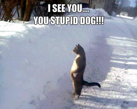 Bifogad bild