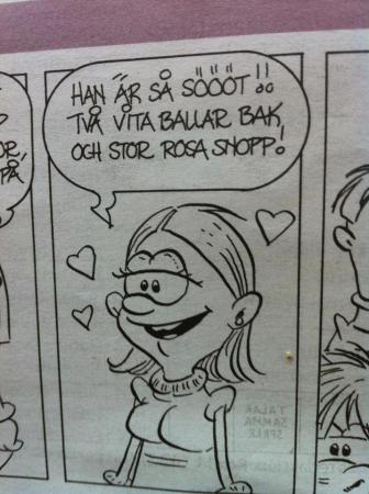 Bifogad bild
