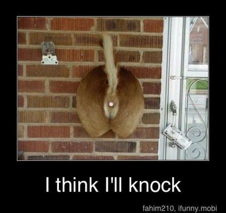 Bifogad bild