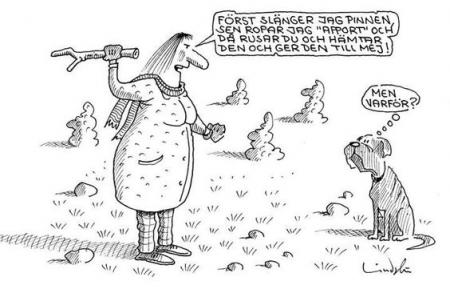 Bifogad bild