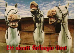 Bifogad bild