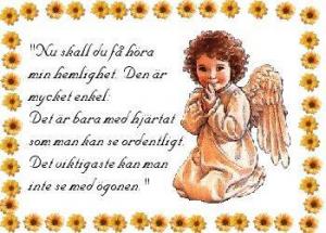 Bifogad bild