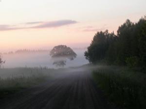 Bifogad bild