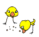 Bifogad bild