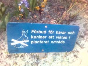 Bifogad bild