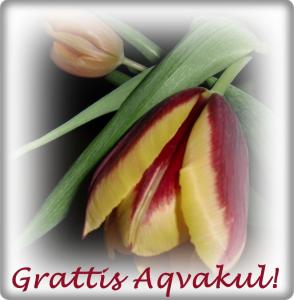 Bifogad bild