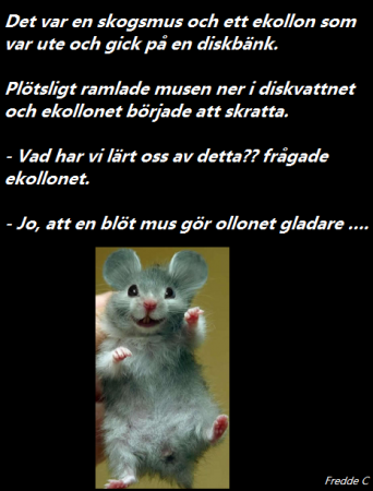 Bifogad bild