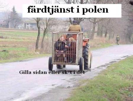 Bifogad bild