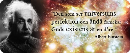 Bifogad bild