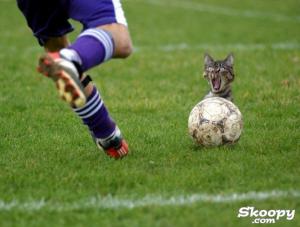 Bifogad bild