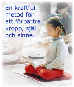 Bifogad bild