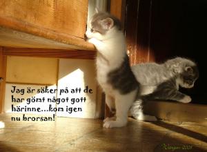Bifogad bild