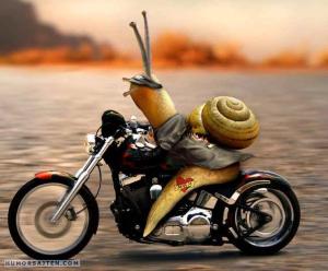 Bifogad bild