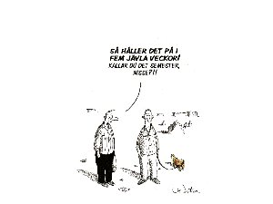 Bifogad bild