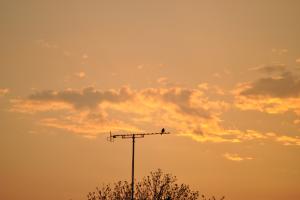 Bifogad bild
