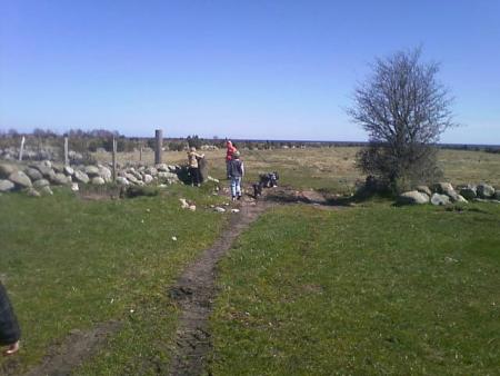 Bifogad bild