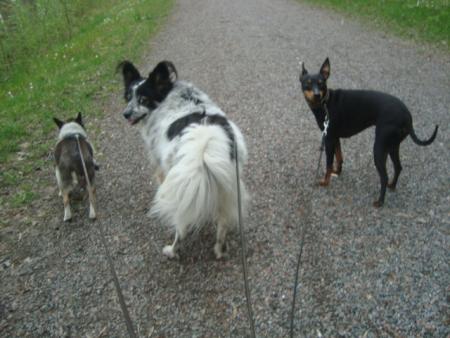 Bifogad bild