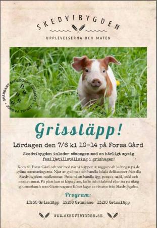 Bifogad bild